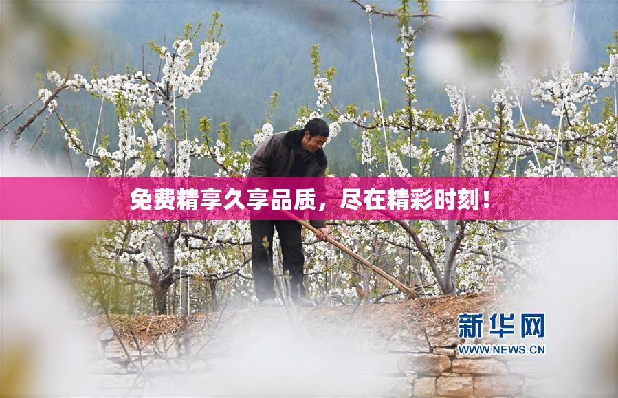 免费精享久享品质，尽在精彩时刻！