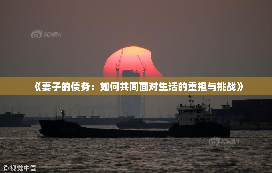 《妻子的债务：如何共同面对生活的重担与挑战》