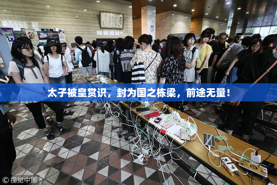 太子被皇赏识，封为国之栋梁，前途无量！