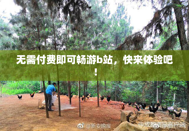 无需付费即可畅游b站，快来体验吧！