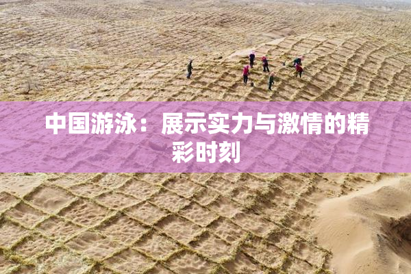 中国游泳：展示实力与激情的精彩时刻