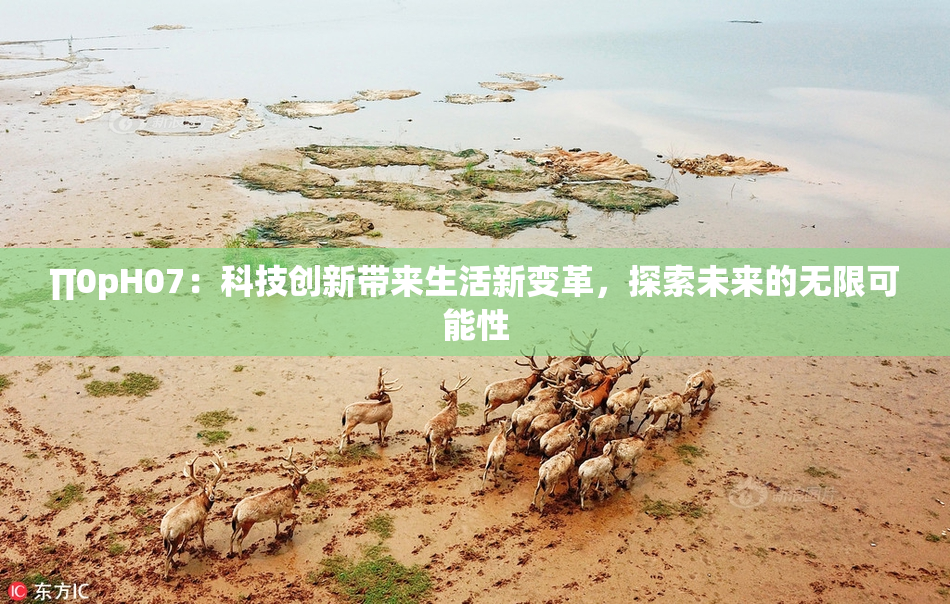 ∏0pH07：科技创新带来生活新变革，探索未来的无限可能性