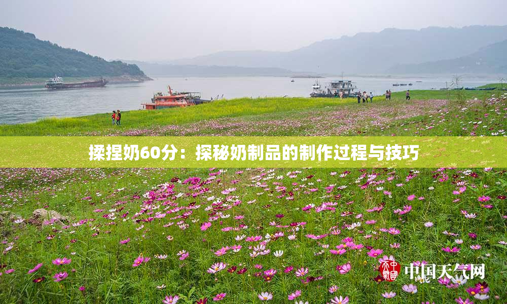 揉捏奶60分：探秘奶制品的制作过程与技巧