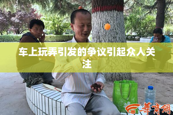 车上玩弄引发的争议引起众人关注