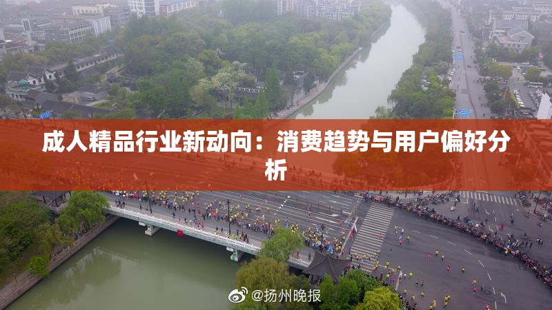 成人精品行业新动向：消费趋势与用户偏好分析