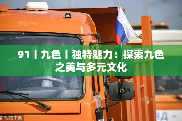91丨九色丨独特魅力：探索九色之美与多元文化