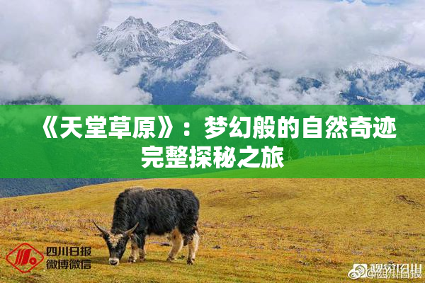 《天堂草原》：梦幻般的自然奇迹完整探秘之旅