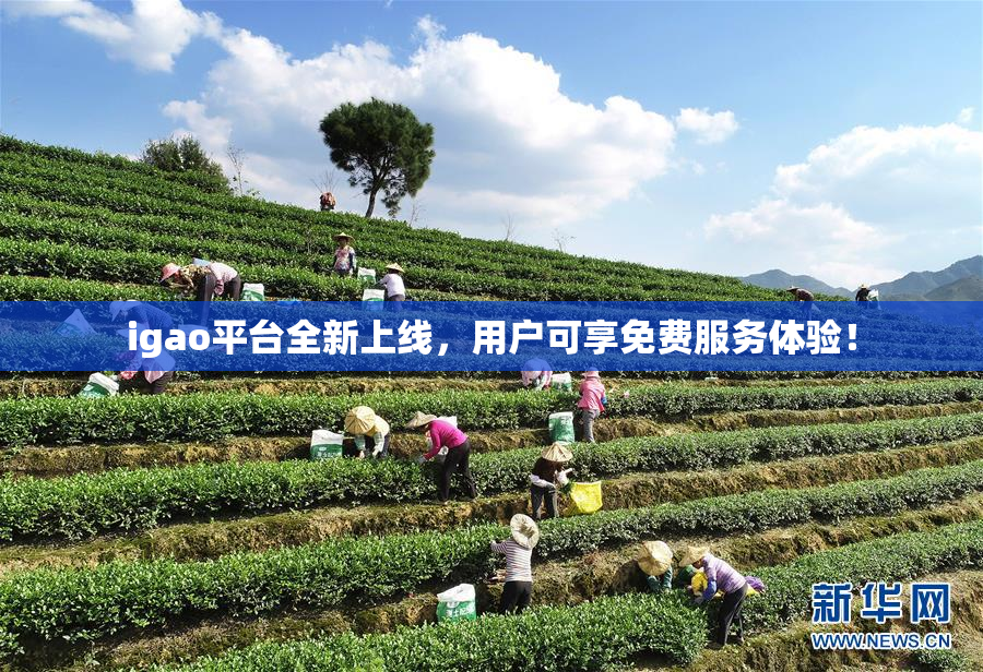 igao平台全新上线，用户可享免费服务体验！