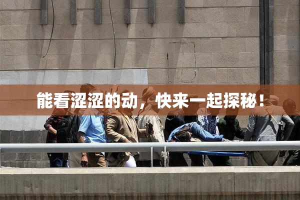 能看涩涩的动，快来一起探秘！