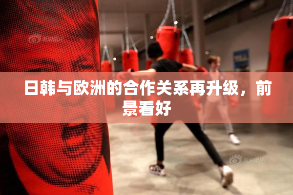 日韩与欧洲的合作关系再升级，前景看好