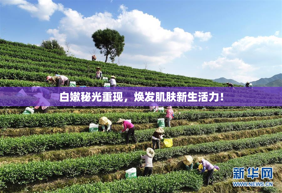 白嫩秘光重现，焕发肌肤新生活力！