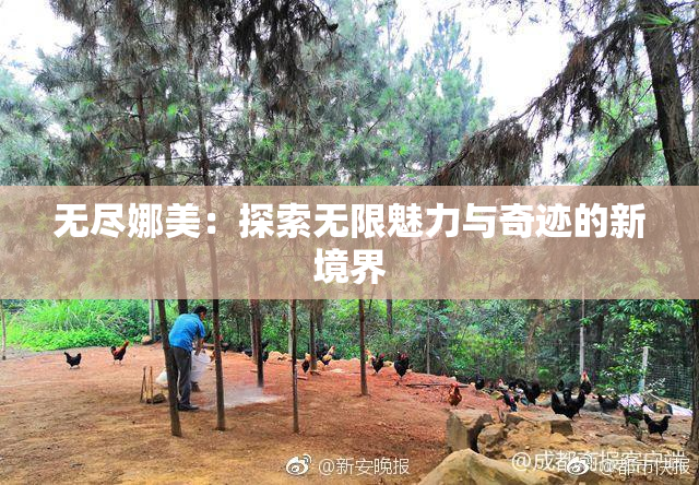 无尽娜美：探索无限魅力与奇迹的新境界