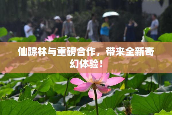 仙踪林与重磅合作，带来全新奇幻体验！