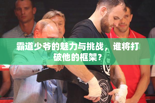 霸道少爷的魅力与挑战，谁将打破他的框架？