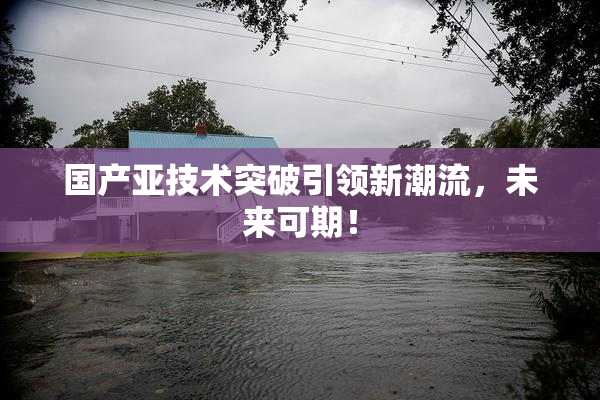 国产亚技术突破引领新潮流，未来可期！