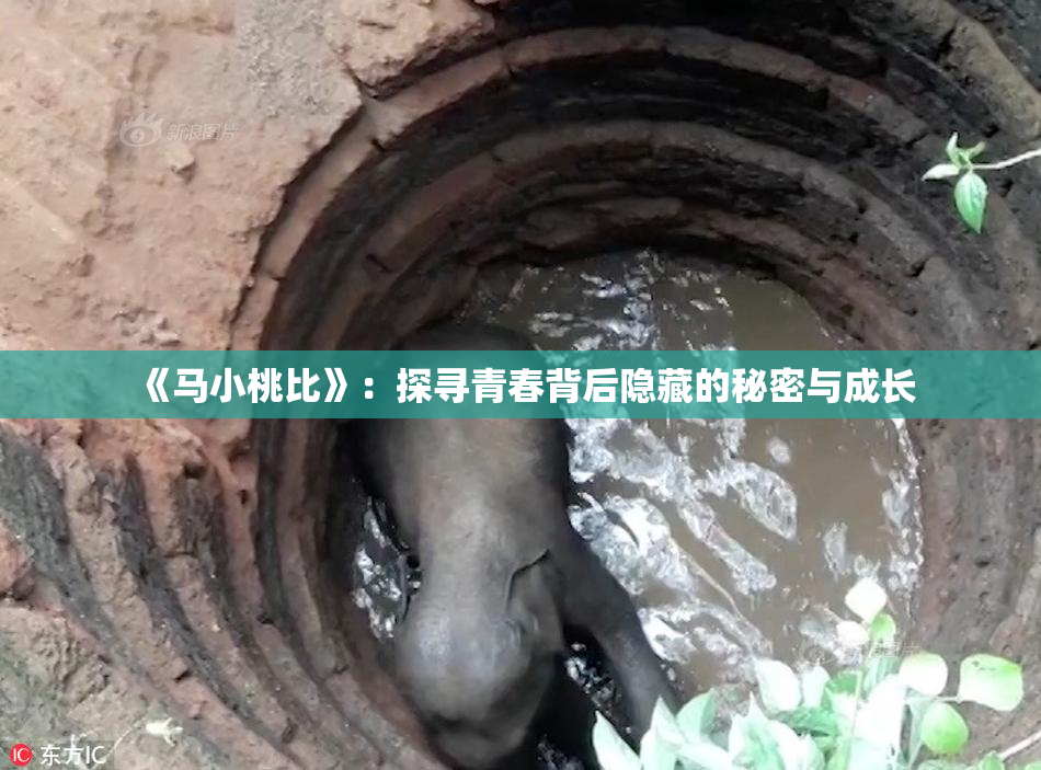 《马小桃比》：探寻青春背后隐藏的秘密与成长