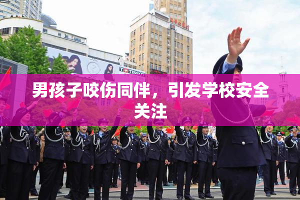 男孩子咬伤同伴，引发学校安全关注