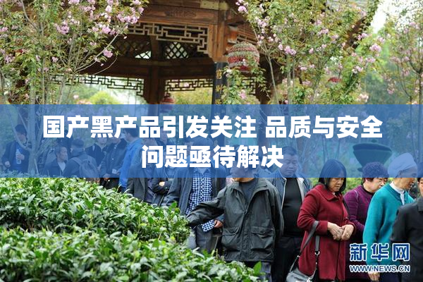 国产黑产品引发关注 品质与安全问题亟待解决