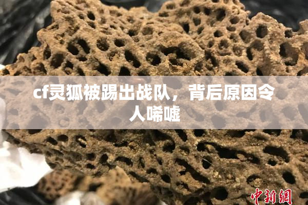 cf灵狐被踢出战队，背后原因令人唏嘘