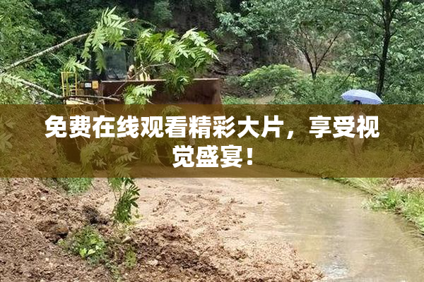 免费在线观看精彩大片，享受视觉盛宴！