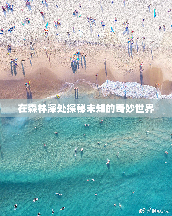 在森林深处探秘未知的奇妙世界