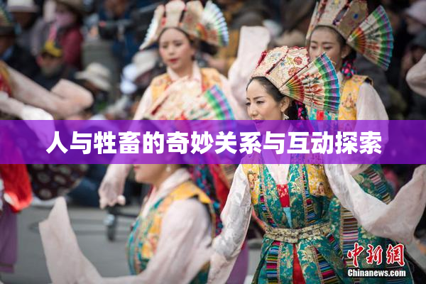 人与牲畜的奇妙关系与互动探索