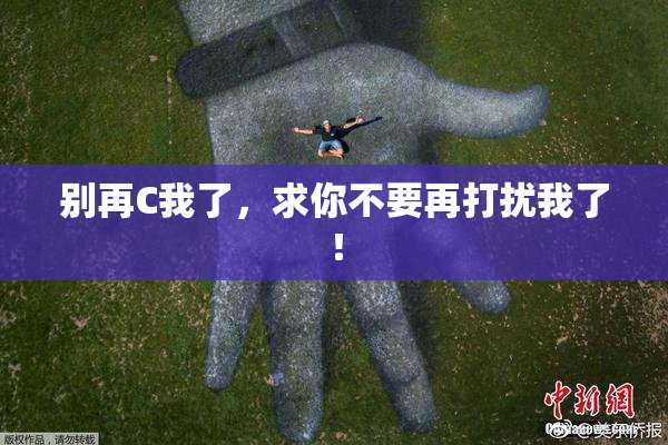 别再C我了，求你不要再打扰我了！