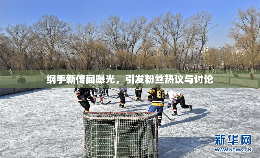 纲手新传闻曝光，引发粉丝热议与讨论