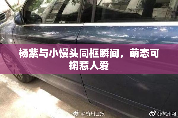 杨紫与小馒头同框瞬间，萌态可掬惹人爱