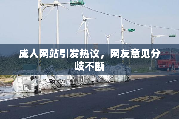 成人网站引发热议，网友意见分歧不断