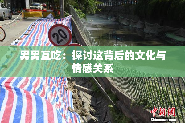 男男互吃：探讨这背后的文化与情感关系