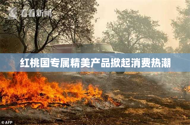 红桃国专属精美产品掀起消费热潮