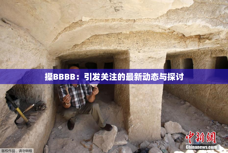 搡BBBB：引发关注的最新动态与探讨