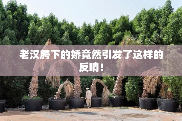 老汉胯下的娇竟然引发了这样的反响！