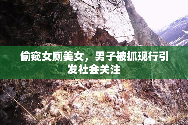 偷窥女厕美女，男子被抓现行引发社会关注