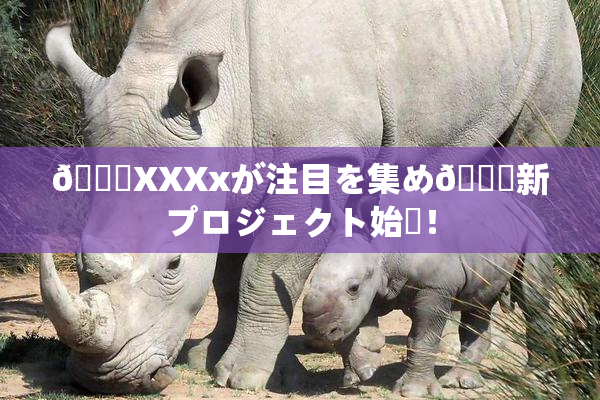 💋XXXxが注目を集め🌃新プロジェクト始動！