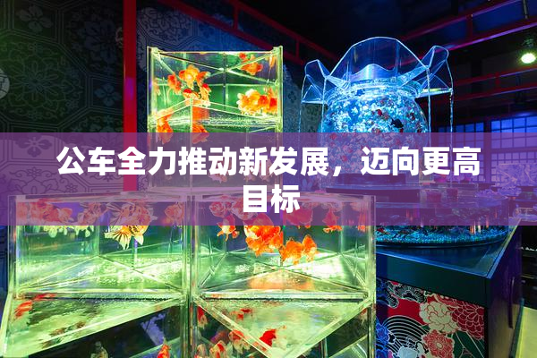 公车全力推动新发展，迈向更高目标