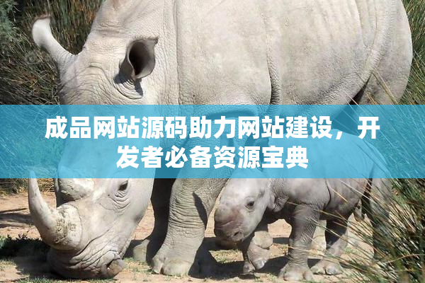 成品网站源码助力网站建设，开发者必备资源宝典