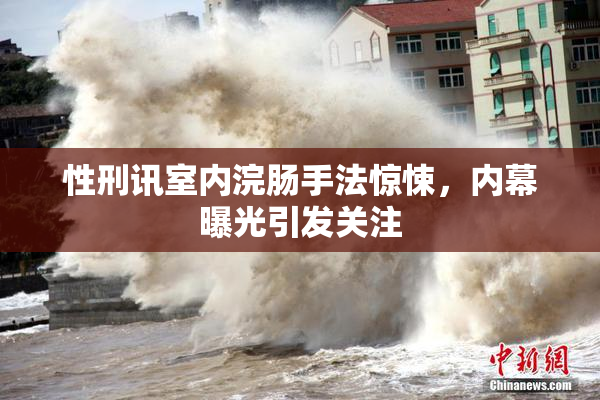 性刑讯室内浣肠手法惊悚，内幕曝光引发关注