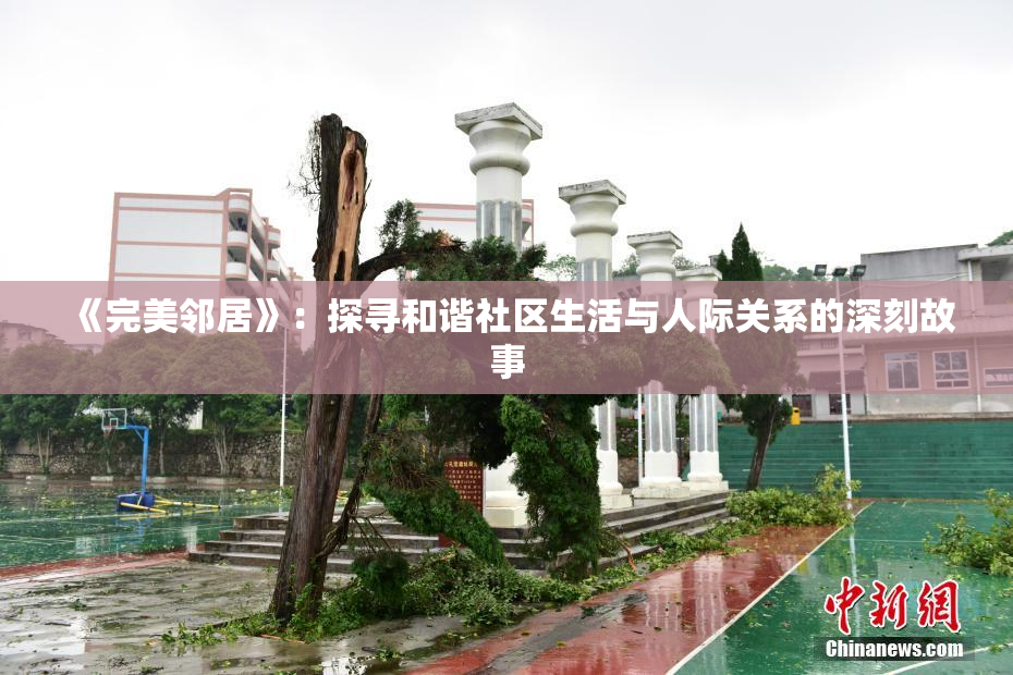 《完美邻居》：探寻和谐社区生活与人际关系的深刻故事