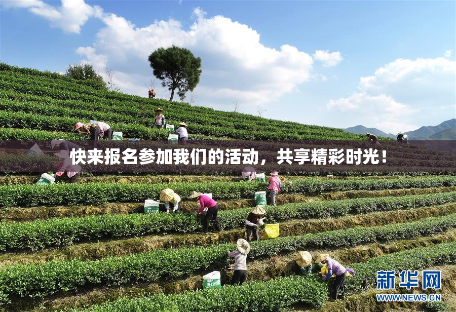 快来报名参加我们的活动，共享精彩时光！