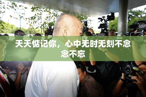 天天惦记你，心中无时无刻不念念不忘
