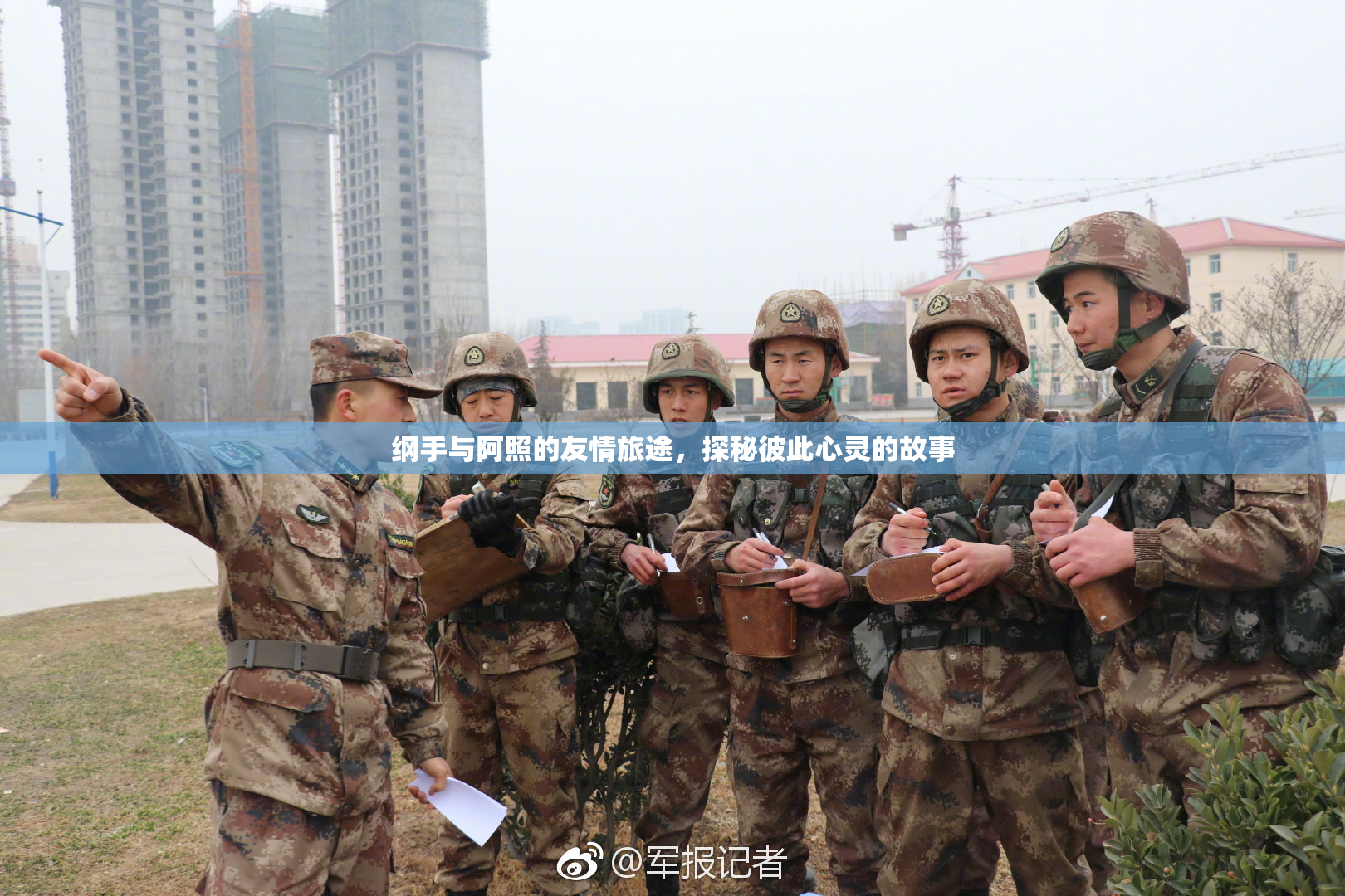 纲手与阿照的友情旅途，探秘彼此心灵的故事