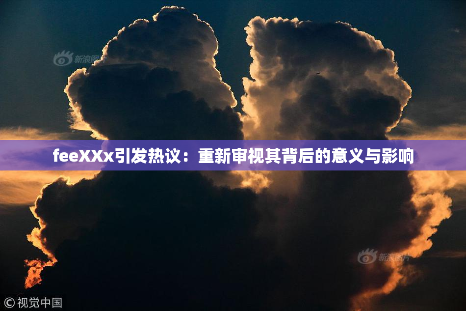 feeXXx引发热议：重新审视其背后的意义与影响