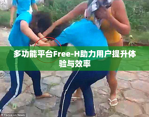 多功能平台Free-H助力用户提升体验与效率