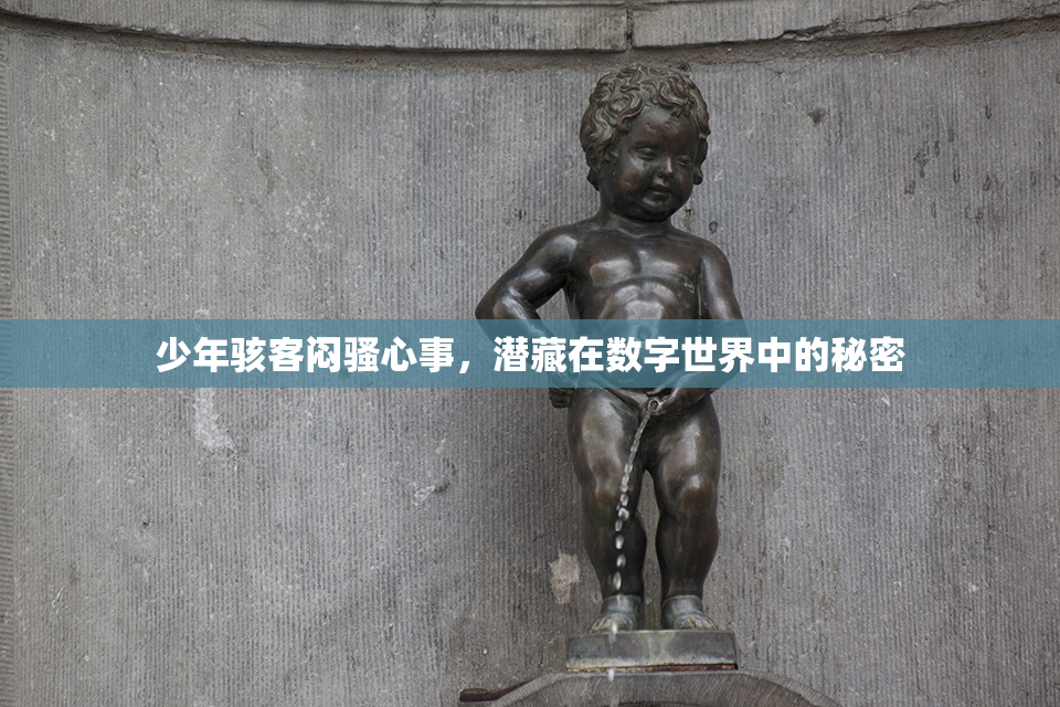 少年骇客闷骚心事，潜藏在数字世界中的秘密