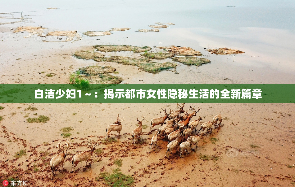 白洁少妇1～：揭示都市女性隐秘生活的全新篇章