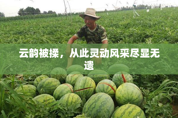 云韵被揉，从此灵动风采尽显无遗