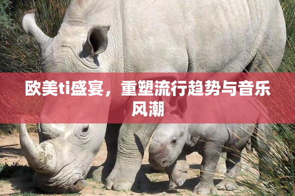 欧美ti盛宴，重塑流行趋势与音乐风潮