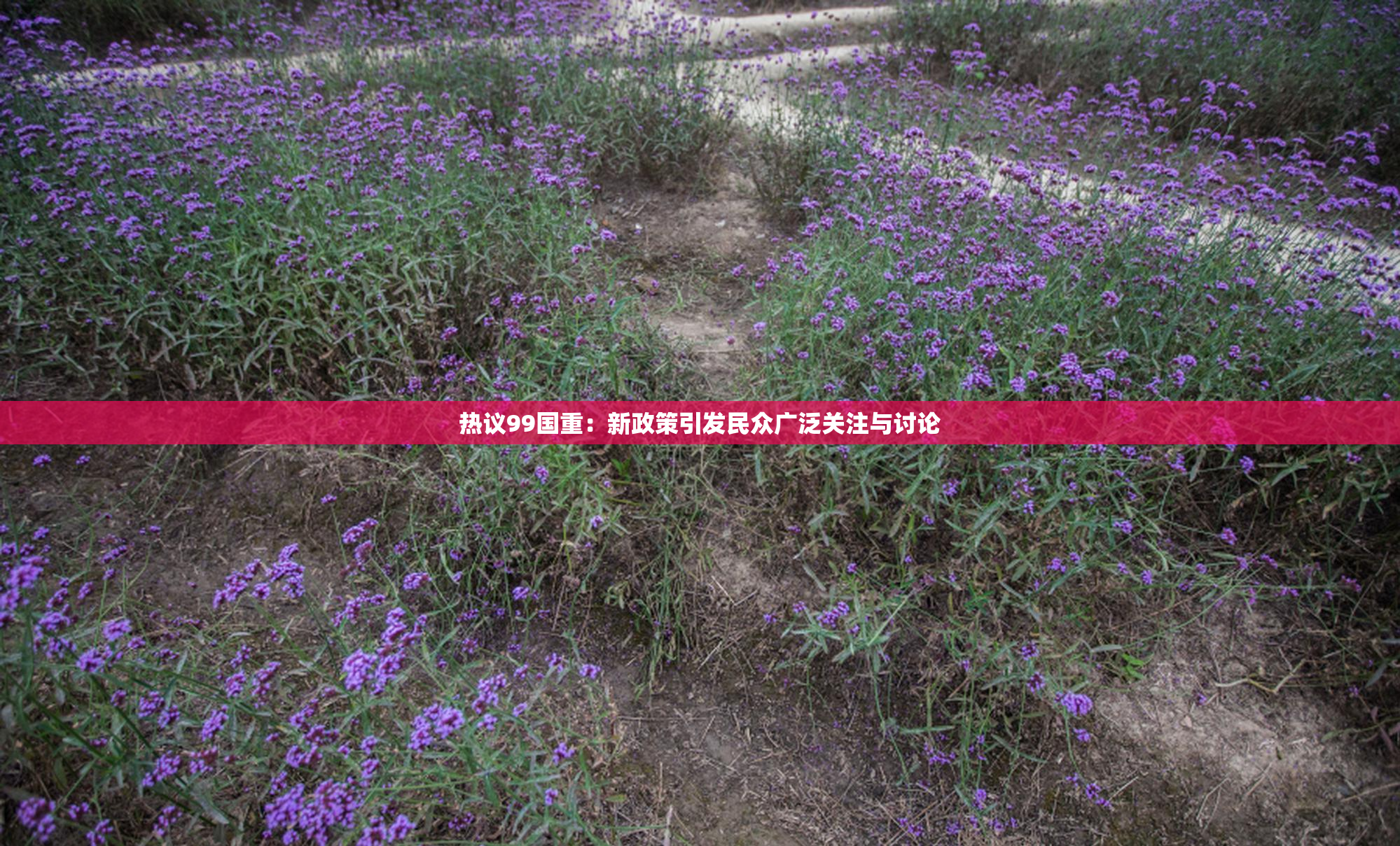 热议99国重：新政策引发民众广泛关注与讨论